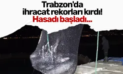 Trabzon'da ihracat rekorları kırdı! Hasadı başladı...