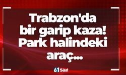 Trabzon'da bir garip kaza! Park halindeki araç...