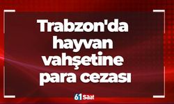 Trabzon'da hayvan vahşetine para cezası