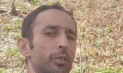 Giresun’da kestiği ağacın altında kalan işçi hayatını kaybetti