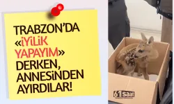 Trabzon’da İyilik Yapmak İsterken Anneden Ayırdılar