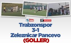 Trabzonspor 3-1 Zeleznicar Pancevo (GOLLER)