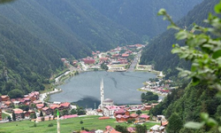 Uzungöl'de trafiğe çıkması yasaklanan 20'ye yakın araç toplatıldı
