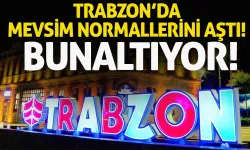 Trabzon'da mevsim normallerini aştı! Bunaltıyor...