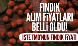 Fındık alım fiyatları belli oldu! TMO fındığı ne kadar alacak?