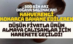 300 bin Samuray Arısı, Kahverengi Kokarca arı için doğaya salındı!