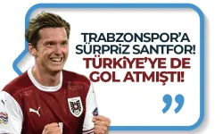 Trabzonspor'a sürpriz santrafor Michael Gregoritsch...