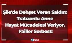 Şile'de Dehşet Veren Saldırı: Trabzonlu Anne Hayat Mücadelesi Veriyor, Failler Serbest!