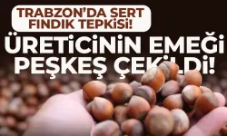 Trabzon'da sert fındık tepkisi: Üreticinin emeği  peşkeş çekildi!