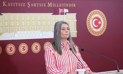 CHP Trabzon Milletvekili Sibel Suiçmez: İsrail soykırım suçu işliyor...