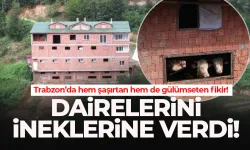 Trabzon'da görenler şaşırıyor! Hayvanları için apartman inşa etti...