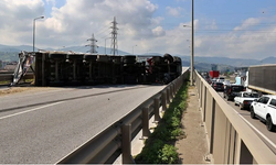 Şoförü arı soktu! TIR devrildi