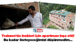 Trabzon’da inekleri için apartman inşa etti! Bu kadar ilerleyeceğimizi düşünmedim…