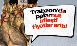 Trabzon'da palamut irileşti fiyatlar arttı!