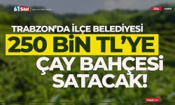 Trabzon'da ilçe belediyesi çay bahçesi ve bazı araçlarını satacak...