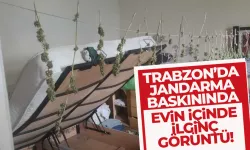 Trabzon'da eve yapılan baskında ilginç görüntü!