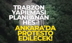 Trabzon'da yapılması planlanan HES Ankara'da protesto edilecek!