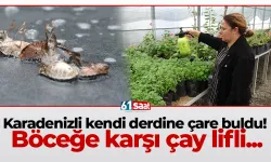 Karadenizli kendi derdine çare buldu! Böceğe karşı çay lifli...