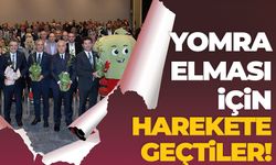 Trabzon'da 'Yomra Elması' için harekete geçtiler