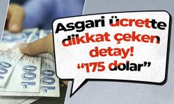 Asgari ücrette dikkat çeken detay! “175 dolar”