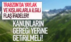 Trabzon'da yayla, mera ve kışlaklarla ilgili flaş sözler: Kanunların gereği yerine getirilmeli...