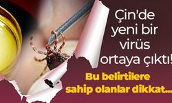 Çin'de yeni bir virüs ortaya çıktı! Bu belirtilere sahip olanlar dikkat...