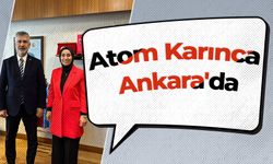 Atom Karınca Ankara'da