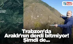 Trabzon'da Araklı'nın derdi bitmiyor! Şimdi de...