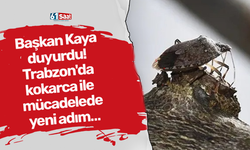 Başkan Kaya duyurdu! Trabzon'da kokarca ile mücadelede yeni adım…