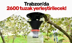 Trabzon’da 2600 tuzak yerleştirilecek! İşte o ilçeler...