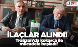 Trabzon'da kokarca ile mücadele başladı! İlaçlar temin ediliyor