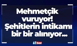 Mehmetçik vuruyor! Şehitlerin intikamı bir bir alınıyor...