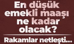 En düşük emekli maaşı ne kadar olacak? Rakamlar netleşti…