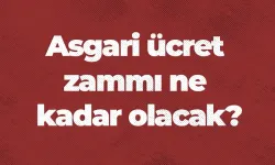 Asgari ücret zammı ne kadar olacak?