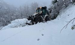 Doğu Karadeniz'de Kar Yağışı Hayatı Felç Etti: Yüzlerce Yol Kapandı