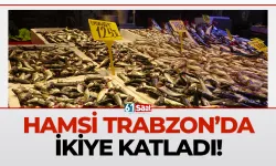 Trabzon'da hamsi ikiye katladı