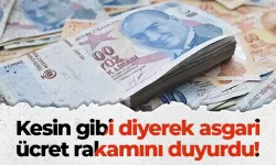 Kesin gibi diyerek asgari ücret rakamını duyurdu!