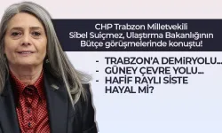 Trabzon Milletvekili Suiçmez, Ulaştırma Bakanlığının bütçe görümesinde Trabzon'a demiryolunu sordu...