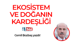 Cemil Bozbaş yazdı! EKOSİSTEM VE DOĞANIN KARDEŞLİĞİ