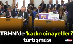 TBMM Plan ve Bütçe Komisyonu'nda ‘kadın cinayetleri' tartışması