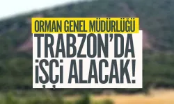 Orman Genel Müdürlüğü, Trabzon’a geçici işçi alacak!