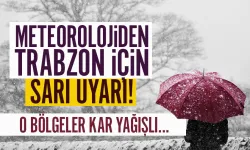 Trabzon için sarı uyarı! O bölgelerde kar yağışı bekleniyor...