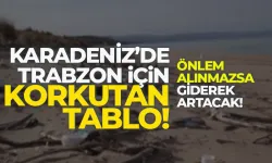 Karadeniz'de Trabzon için korkutucu tablo! Çevresel felaket...