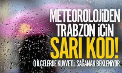 Meteorolojiden Trabzon için sarı kod uyarısı...