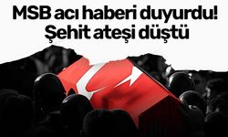 MSB acı haberi duyurdu! Şehit ateşi düştü