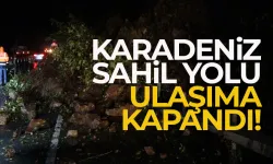 Karadeniz Sahil Yolu, ulaşıma kapandı!