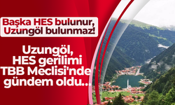 Uzungöl, HES gerilimi TBB Meclisi'nde gündem oldu… Başka HES bulunur, Uzungöl bulunmaz!