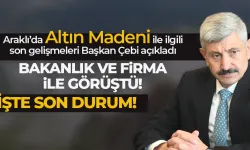 Trabzon'da altın arama çalışmalarında son durum! Milyon dolarlık yatırım!