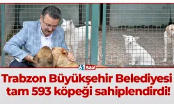 Trabzon Büyükşehir Belediyesi tam 593 köpeği sahiplendirdi!