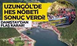 Uzungöl HES Projesinde flaş gelişme! Danıştay ÇED ile ilgili karar verdi...